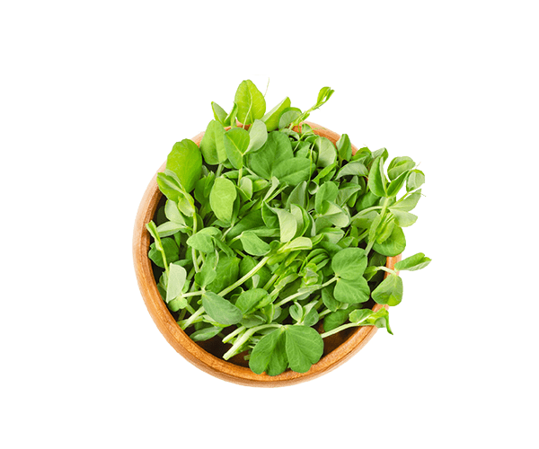 PeaMicrogreens